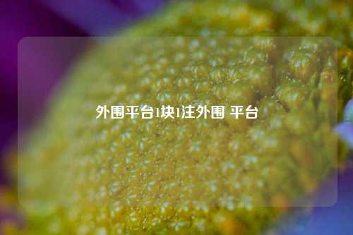 外围平台1块1注外围 平台