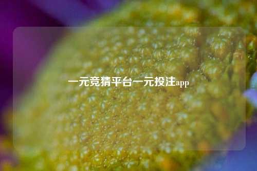 一元竞猜平台一元投注app
