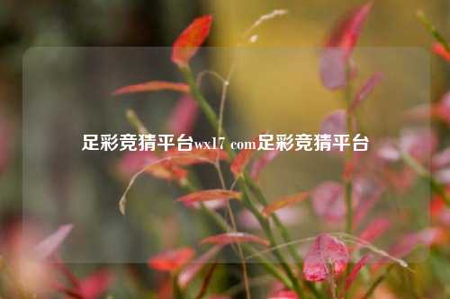 足彩竞猜平台wx17 com足彩竞猜平台