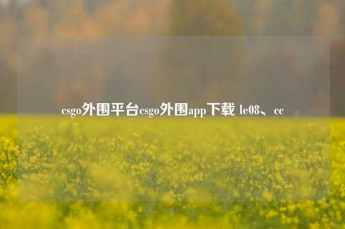 csgo外围平台csgo外围app下载 le08、cc