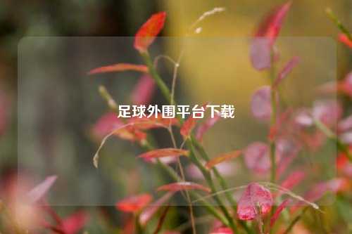 足球外围平台下载