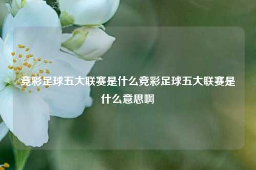 竞彩足球五大联赛是什么竞彩足球五大联赛是什么意思啊