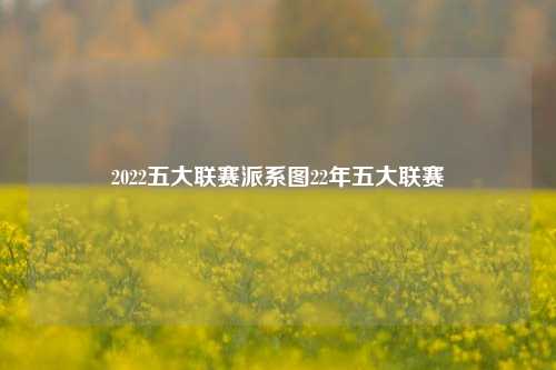 2022五大联赛派系图22年五大联赛