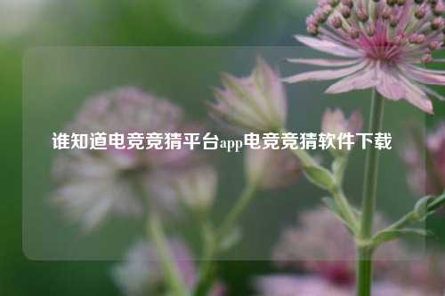 谁知道电竞竞猜平台app电竞竞猜软件下载