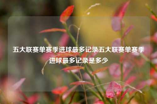 五大联赛单赛季进球最多记录五大联赛单赛季进球最多记录是多少