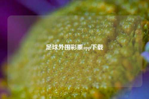 足球外围彩票app下载
