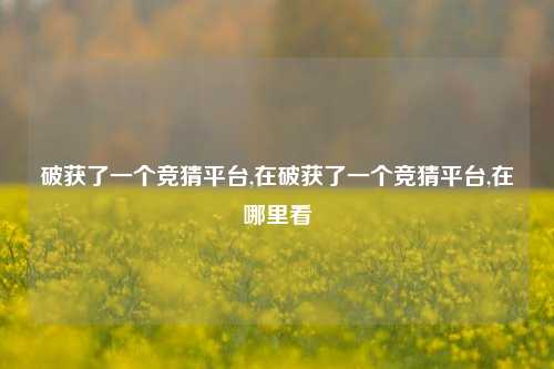 破获了一个竞猜平台,在破获了一个竞猜平台,在哪里看