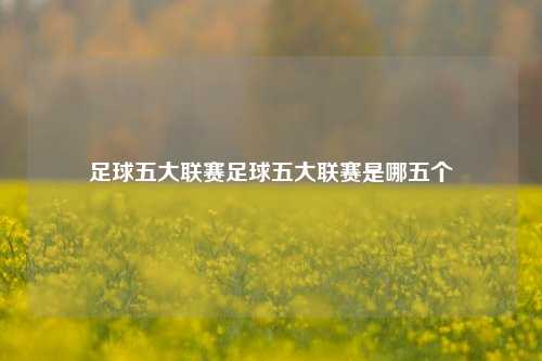 足球五大联赛足球五大联赛是哪五个