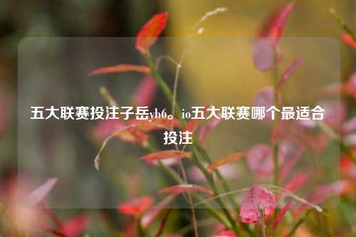 五大联赛投注子岳yb6。io五大联赛哪个最适合投注