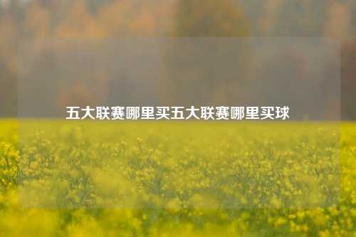 五大联赛哪里买五大联赛哪里买球