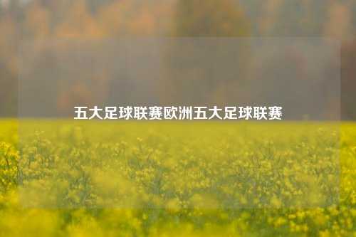 五大足球联赛欧洲五大足球联赛