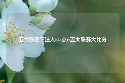 五大联赛下注入b48点tv五大联赛大比分