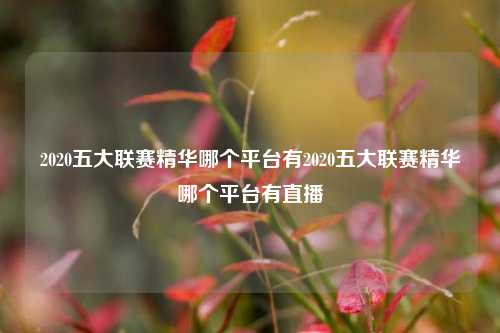 2020五大联赛精华哪个平台有2020五大联赛精华哪个平台有直播