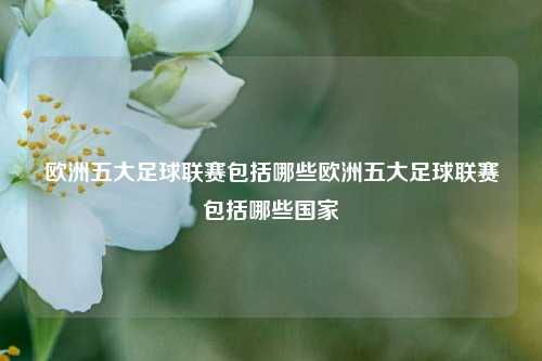 欧洲五大足球联赛包括哪些欧洲五大足球联赛包括哪些国家