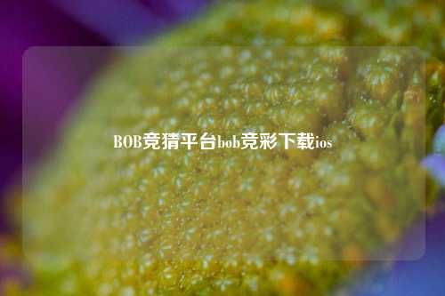 BOB竞猜平台bob竞彩下载ios