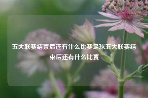 五大联赛结束后还有什么比赛？