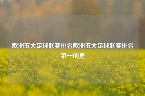 欧洲五大足球联赛排名欧洲五大足球联赛排名第一的是
