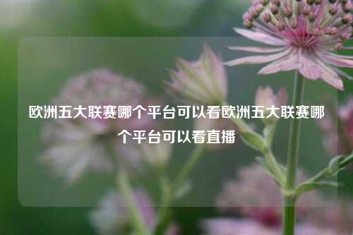 欧洲五大联赛哪个平台可以看欧洲五大联赛哪个平台可以看直播