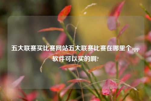 五大联赛买比赛网站五大联赛比赛在哪里个app软件可以买的啊?