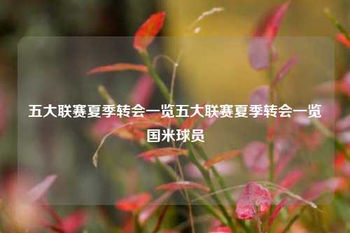 五大联赛夏季转会一览五大联赛夏季转会一览国米球员
