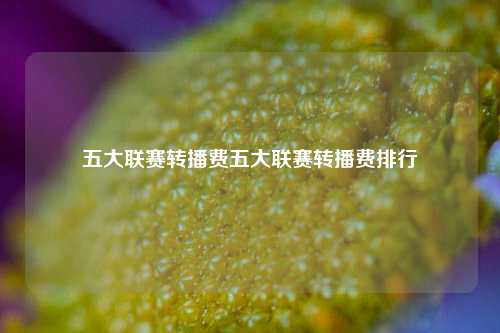 五大联赛转播费五大联赛转播费排行