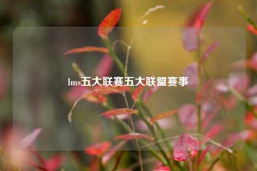 lms五大联赛五大联盟赛事