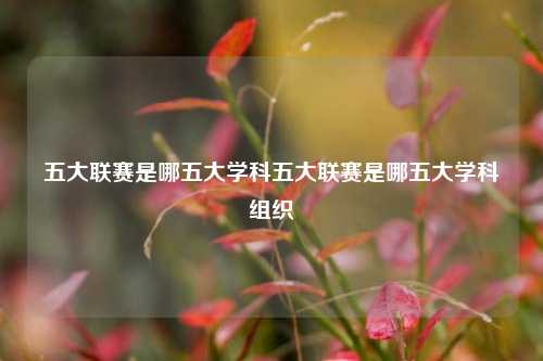 五大联赛是哪五大学科五大联赛是哪五大学科组织