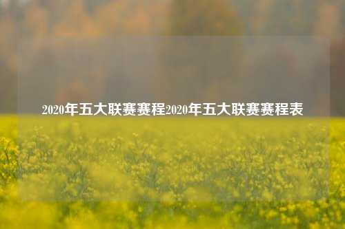 2020年五大联赛赛程2020年五大联赛赛程表