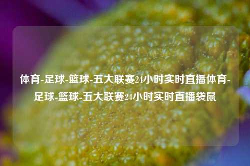 体育-足球-篮球-五大联赛24小时实时直播体育-足球-篮球-五大联赛24小时实时直播袋鼠