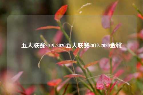 五大联赛2019-2020五大联赛2019-2020金靴