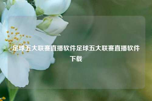 足球五大联赛直播软件足球五大联赛直播软件下载