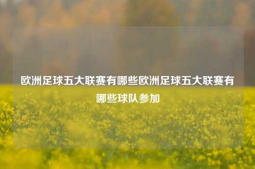 欧洲足球五大联赛有哪些欧洲足球五大联赛有哪些球队参加