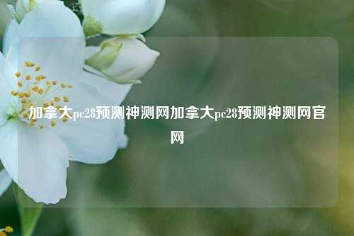加拿大pc28预测神测网加拿大pc28预测神测网官网