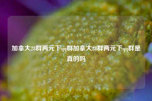 加拿大28群两元下qq群加拿大28群两元下qq群是真的吗