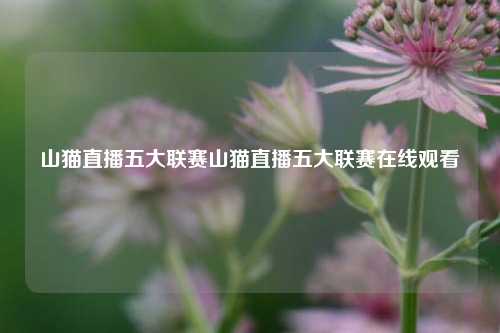 山猫直播五大联赛山猫直播五大联赛在线观看