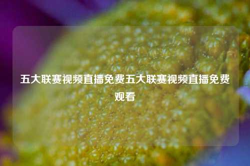 五大联赛视频直播免费五大联赛视频直播免费观看
