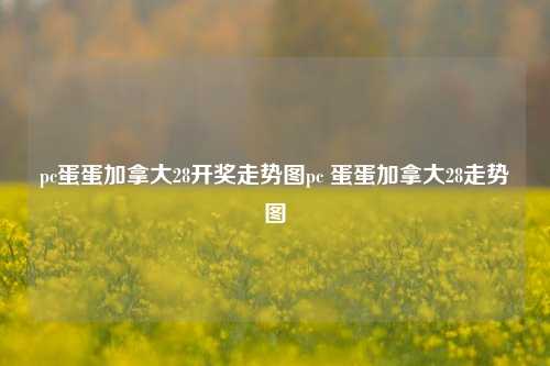 pc蛋蛋加拿大28开奖走势图pc 蛋蛋加拿大28走势图