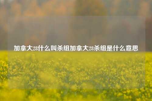 加拿大28什么叫杀组加拿大28杀组是什么意思