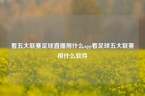 看五大联赛足球直播用什么app看足球五大联赛用什么软件