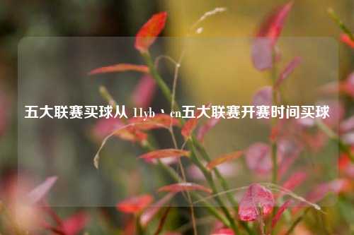 五大联赛买球从 11yb丶cn五大联赛开赛时间买球