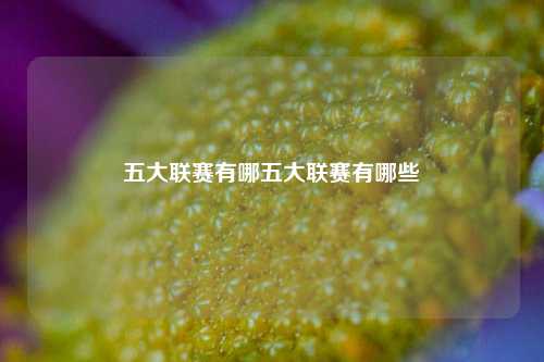 五大联赛有哪五大联赛有哪些